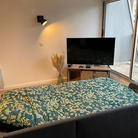 Duplex Au Coeur De 3 Etoiles Apartament *